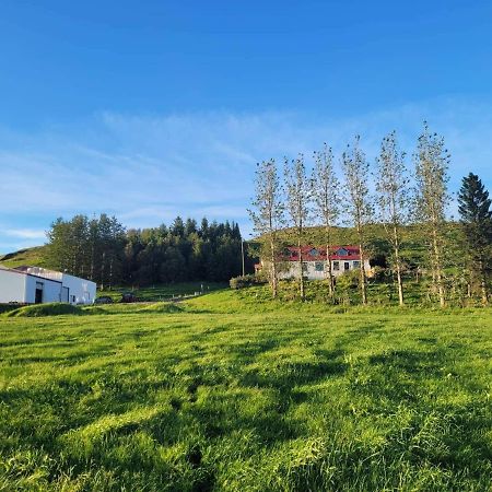 The Old House Apartment Selfoss Bagian luar foto