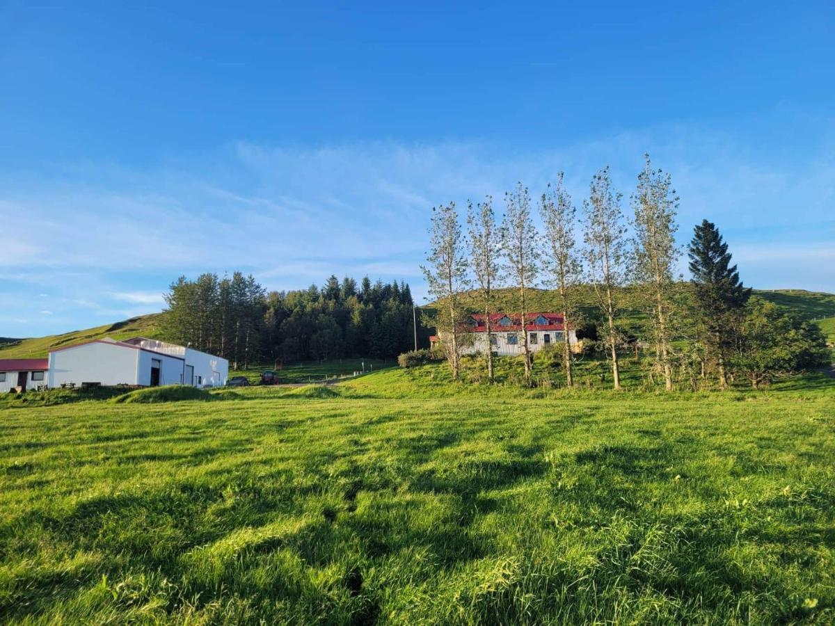 The Old House Apartment Selfoss Bagian luar foto